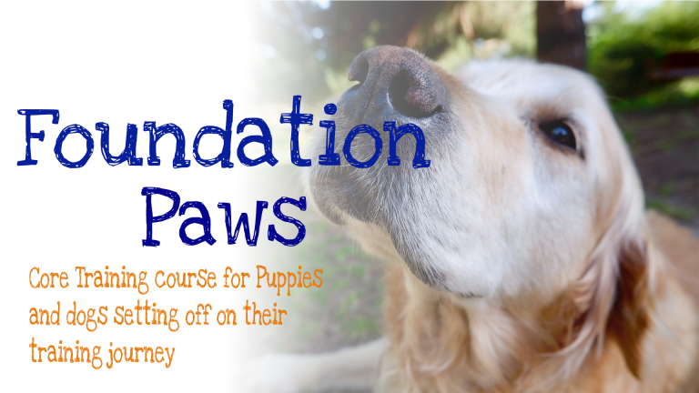 Foundation Course Landing – Great Paws Gang